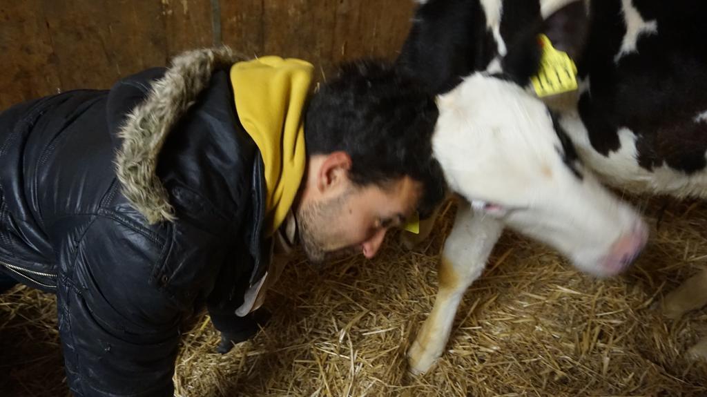 Loro Piceno Tenuta Gran Bosco מראה חיצוני תמונה