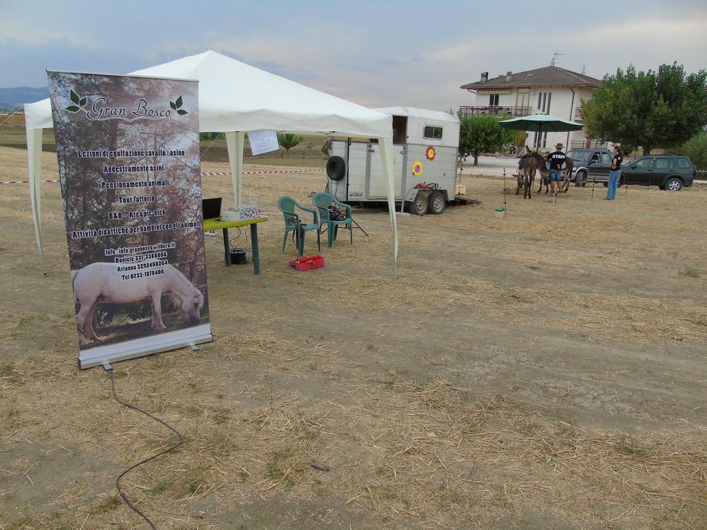 Loro Piceno Tenuta Gran Bosco מראה חיצוני תמונה