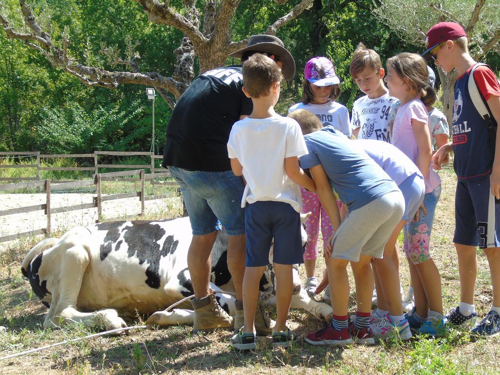 Loro Piceno Tenuta Gran Bosco מראה חיצוני תמונה