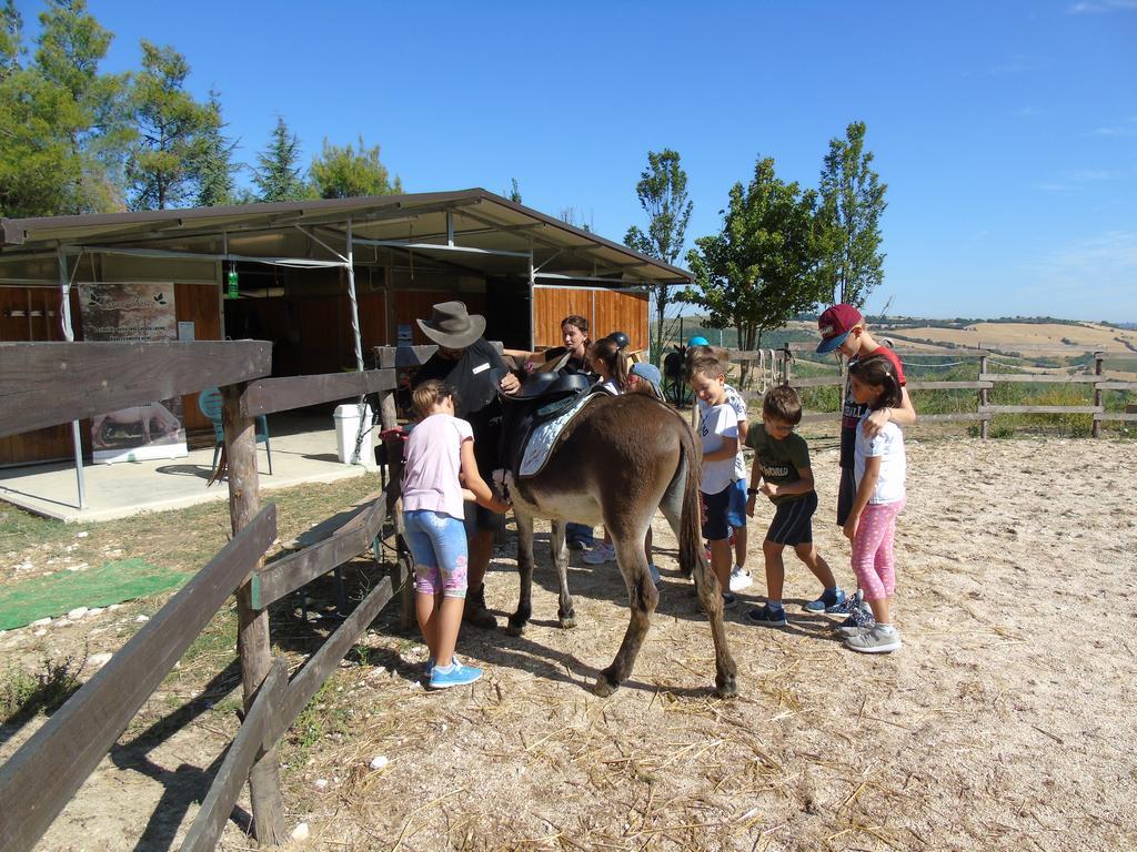 Loro Piceno Tenuta Gran Bosco מראה חיצוני תמונה