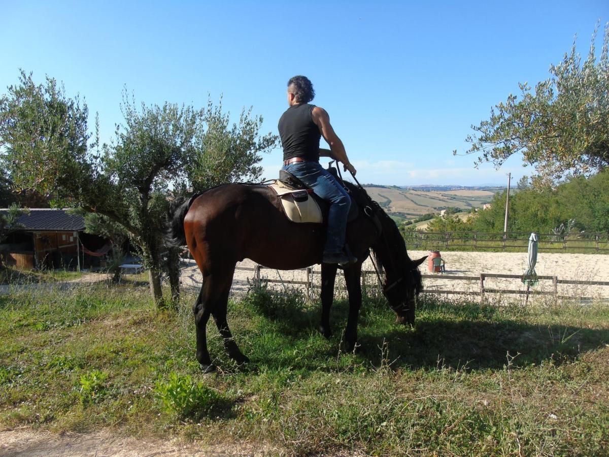Loro Piceno Tenuta Gran Bosco מראה חיצוני תמונה